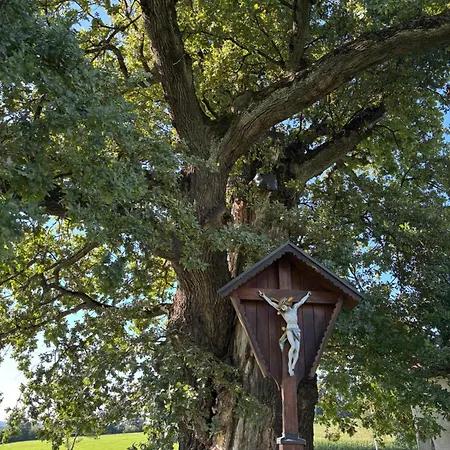 Appartement Gaestehaus Schneider