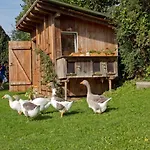 Gaestehaus Schneider Апартаменты *