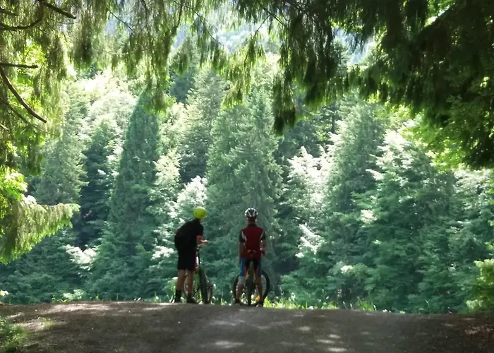 Gaestehaus Schneider 아파트 Eppishausen